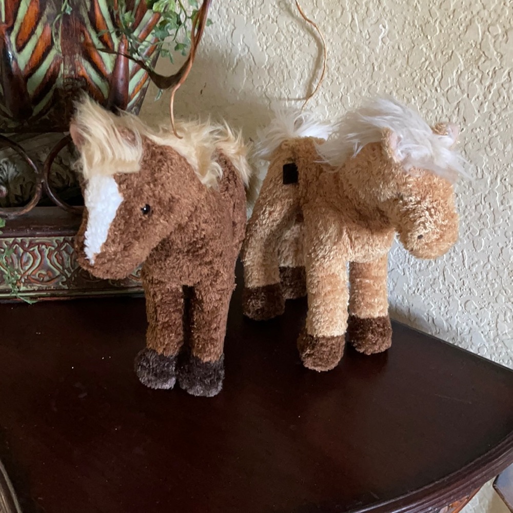 Pair of Ponies